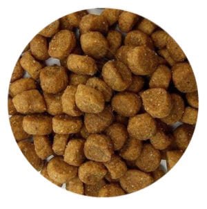 Nutra Gold Indoor dog microbites pellet sample - pancitaspets.cl