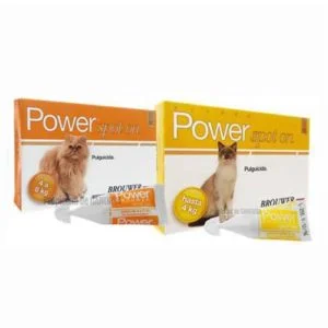 Power spot on Gatos