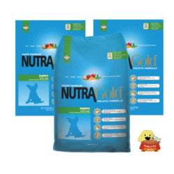 nutra Gold puppy