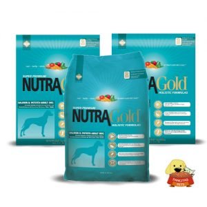 Nutra Gold Salmon & potatoes family pancitaspets.cl