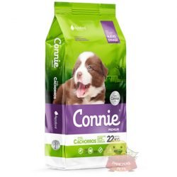 Connie cachorros