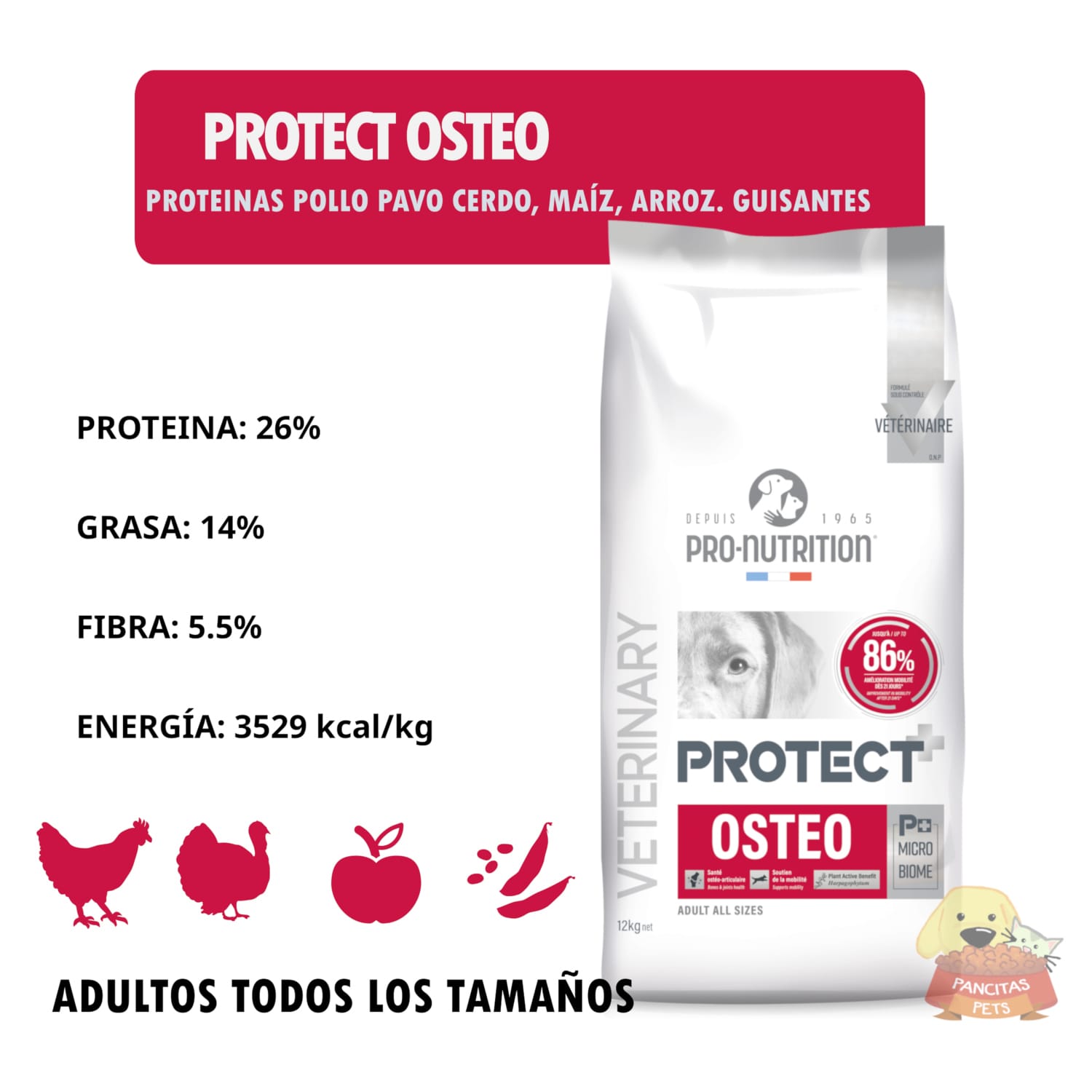 Protect osteo canino - Detalles
