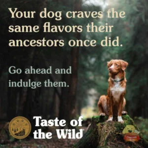 Taste of the Wild Appalachian Valley un sabor único
