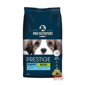 Prestige dog Puppy mini Pancitaspets.cl