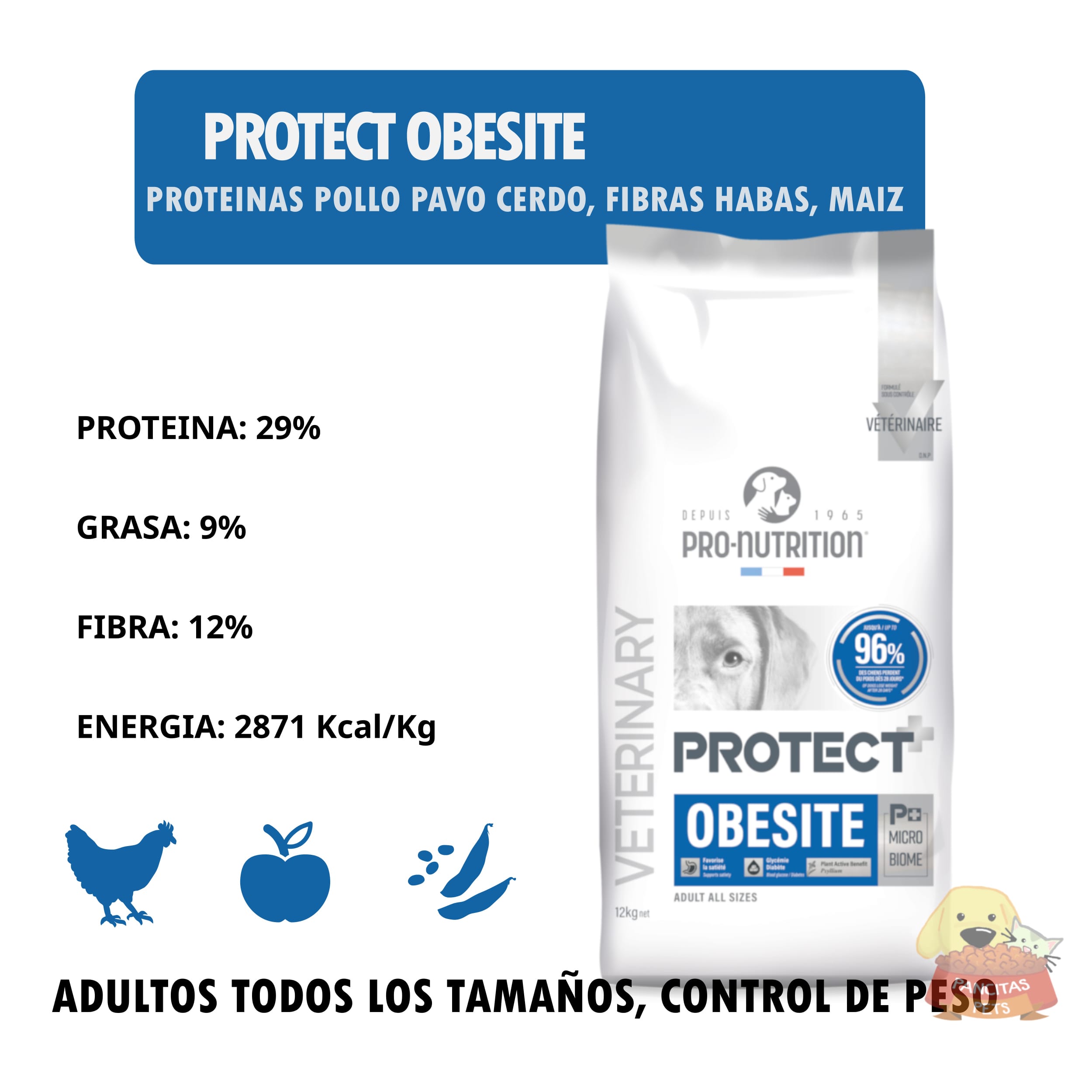 Protect Obesité - Detalles
