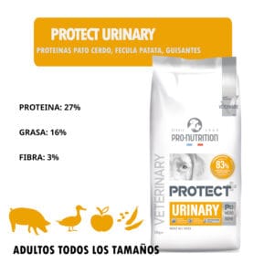 Protect Urinary Canino - Imagen 2