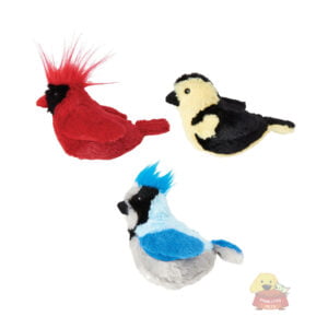 Assorted birds song PPETS