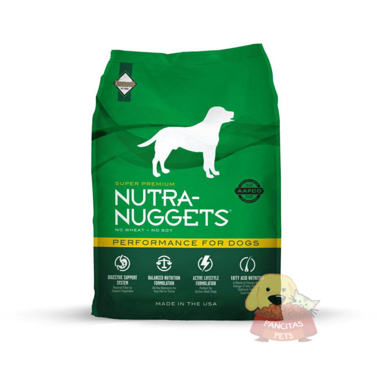Performance for Dogs