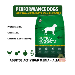 performance for dogs