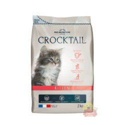 Crocktail Kitten Pancitaspets