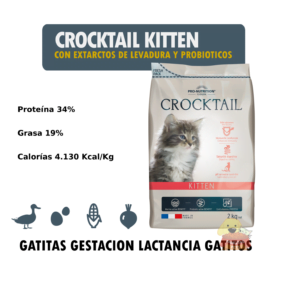 Flatazor Crocktail Kitten Detalles