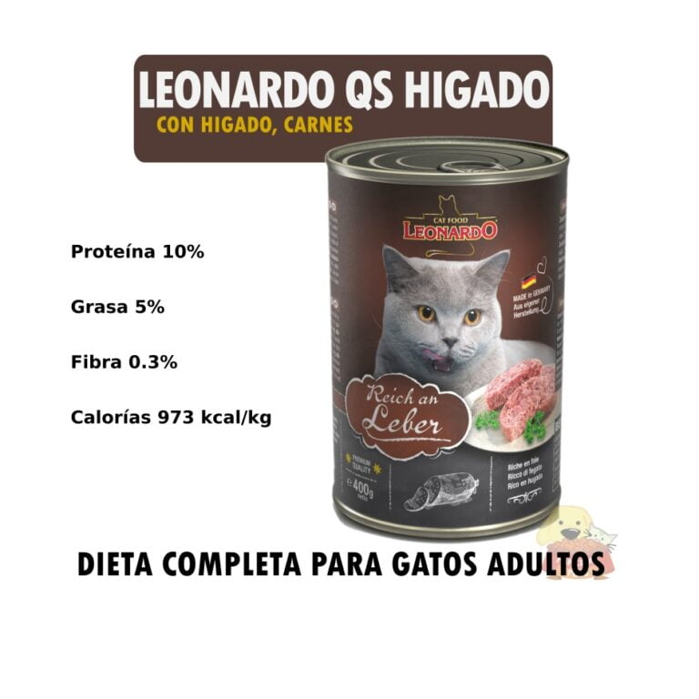Leonardo QS Higado Detalle