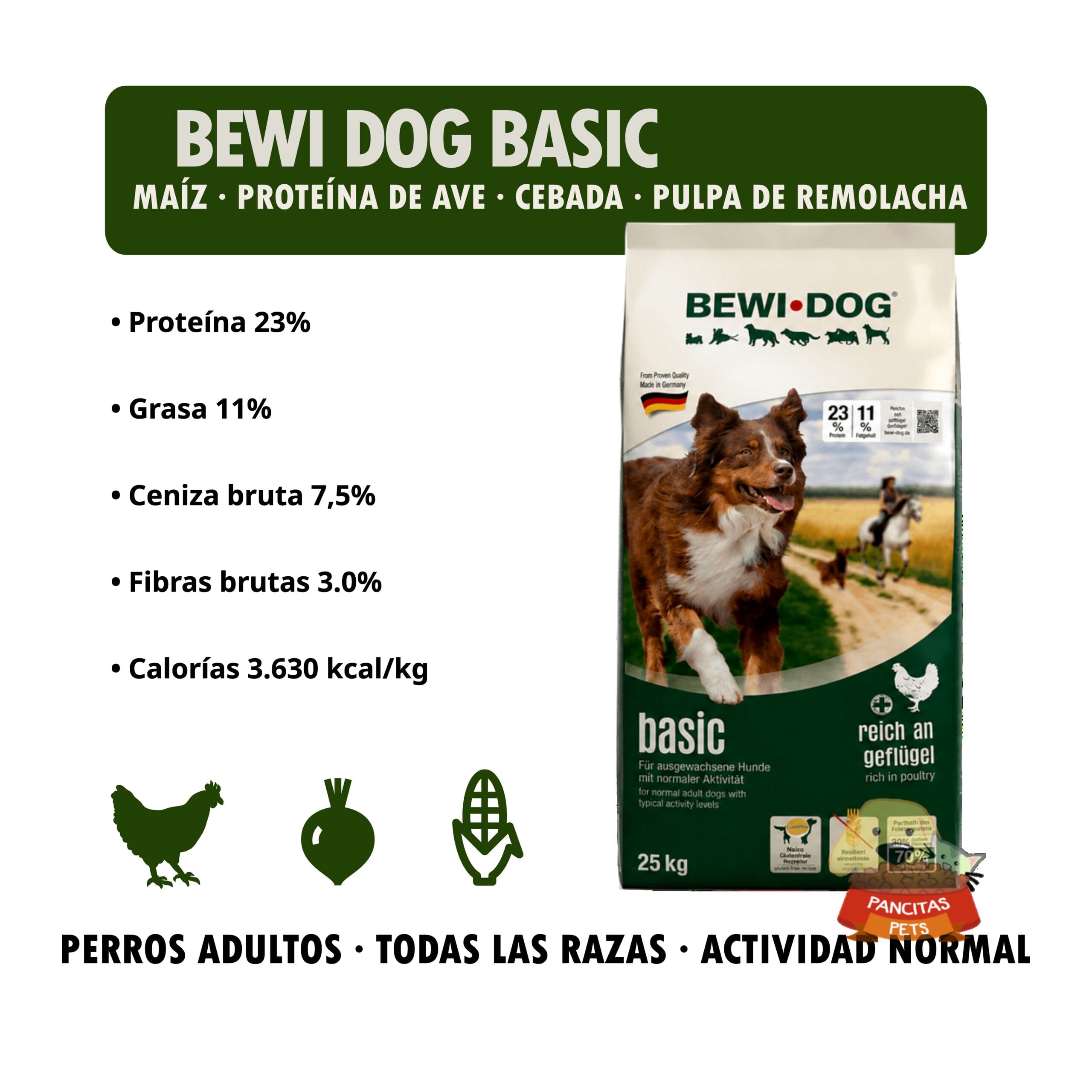 Nutrición equilibrada para perros adultos con actividad normal