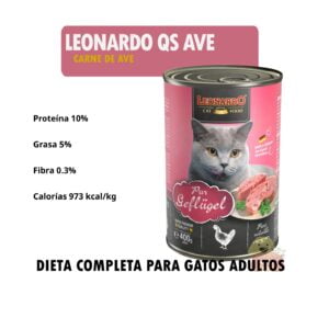 Leonardo Lata QS Ave - Detalle