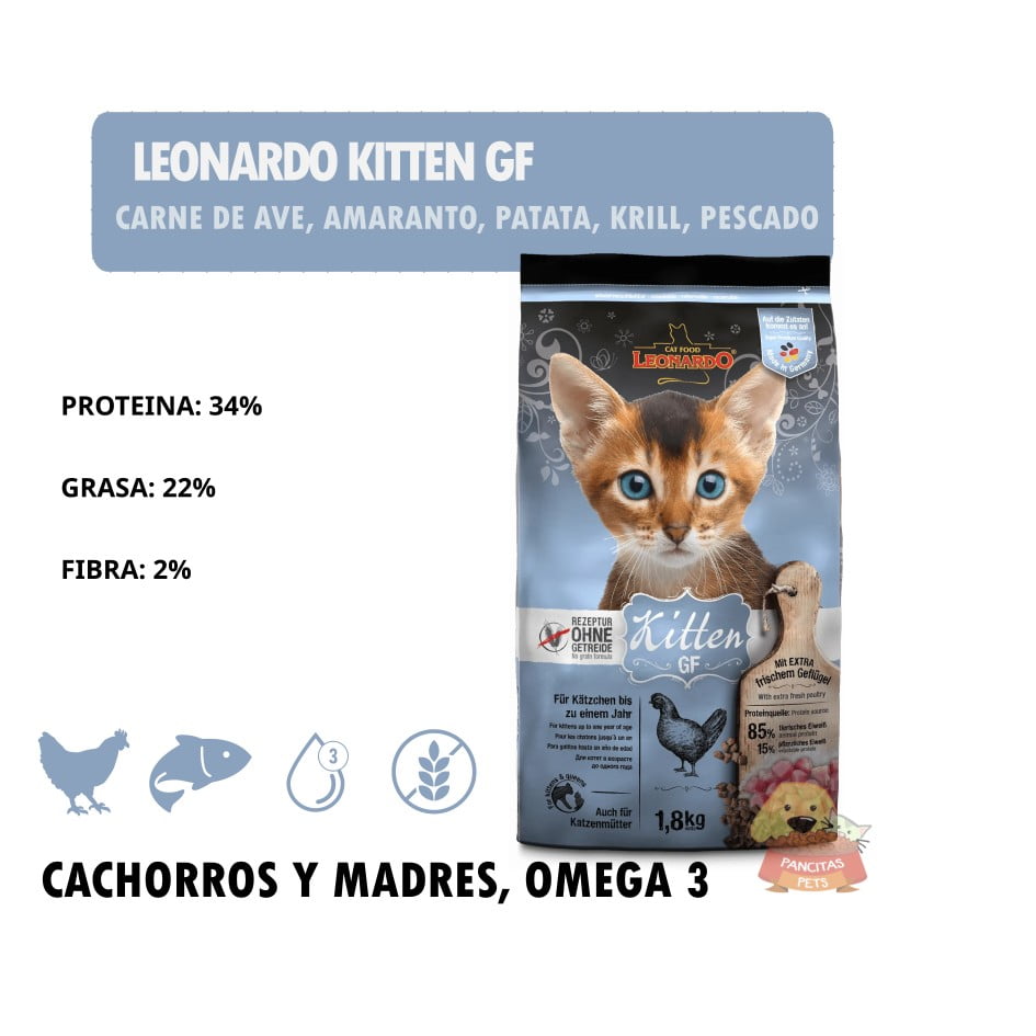 Leonardo Kitten GF - Detalle