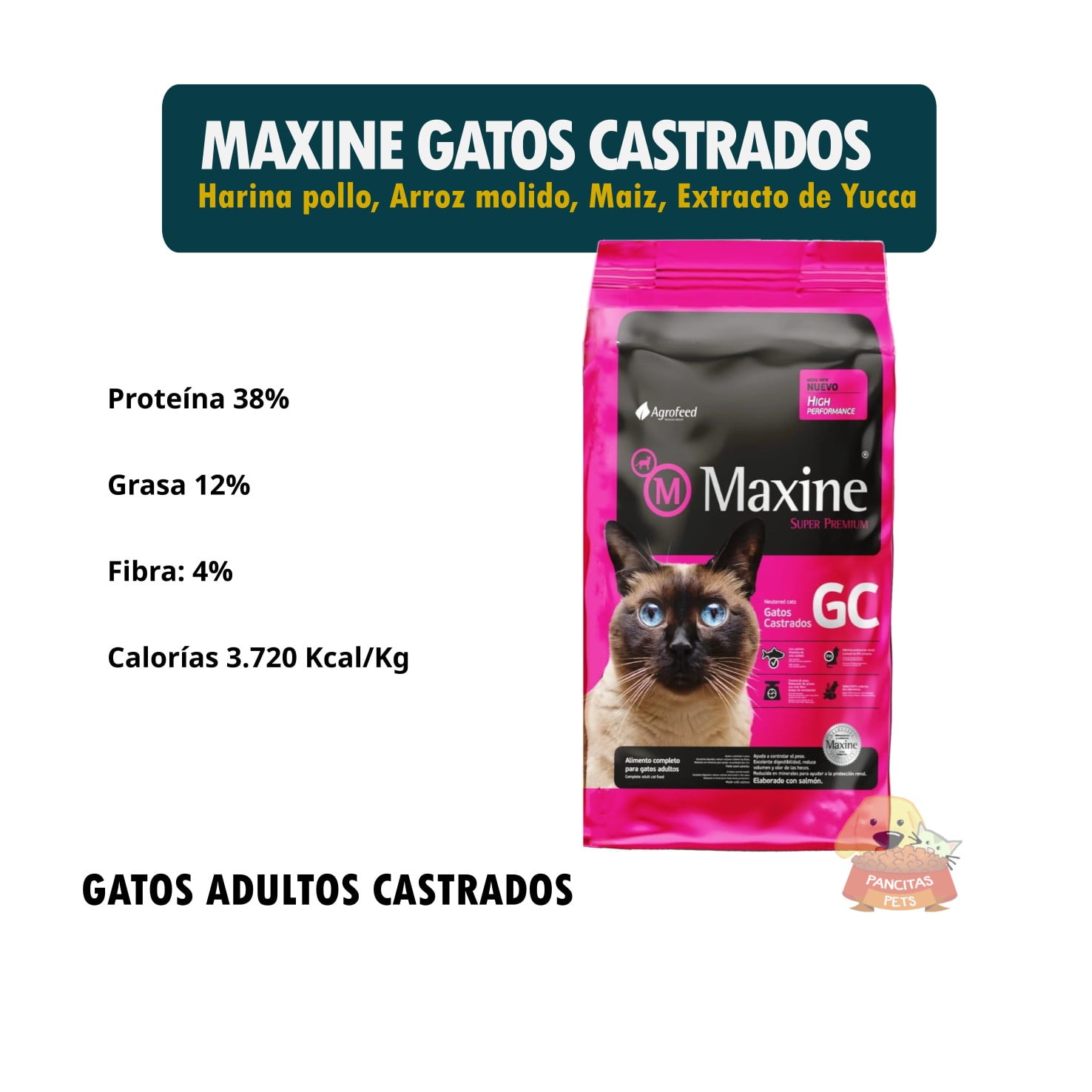 Maxine Gatos Castrados - Detalle