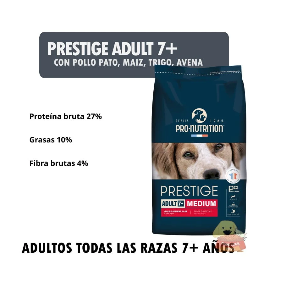 Prestige Adult 7+ Medium