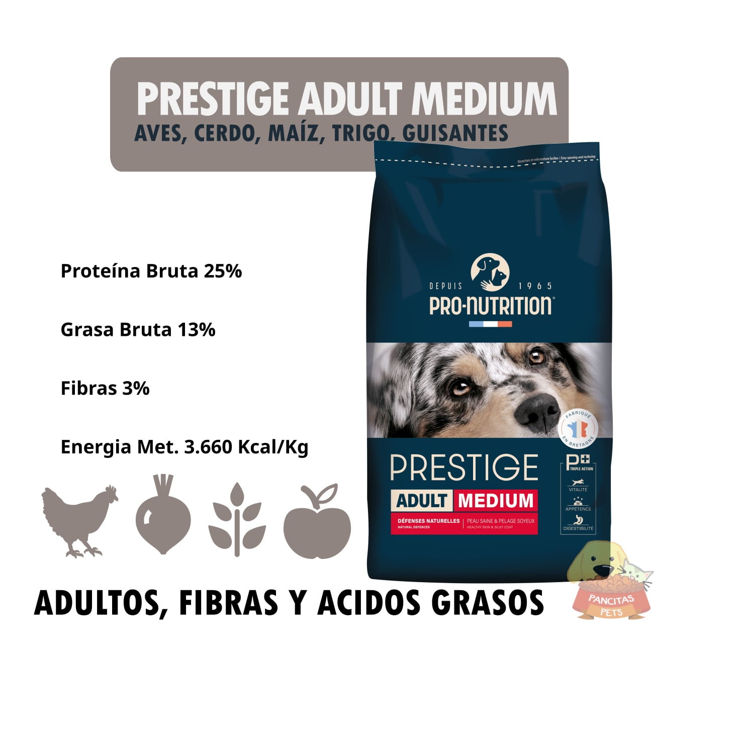 Prestige Dog Adult medium - Detalle