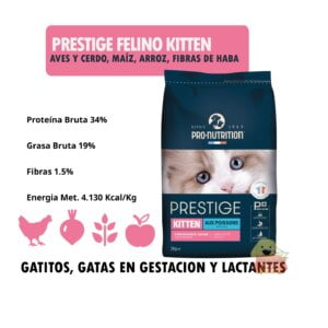 PRESTIGE FELINO KITTEN DETALLE