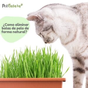 PetNatura Pasto publicidad