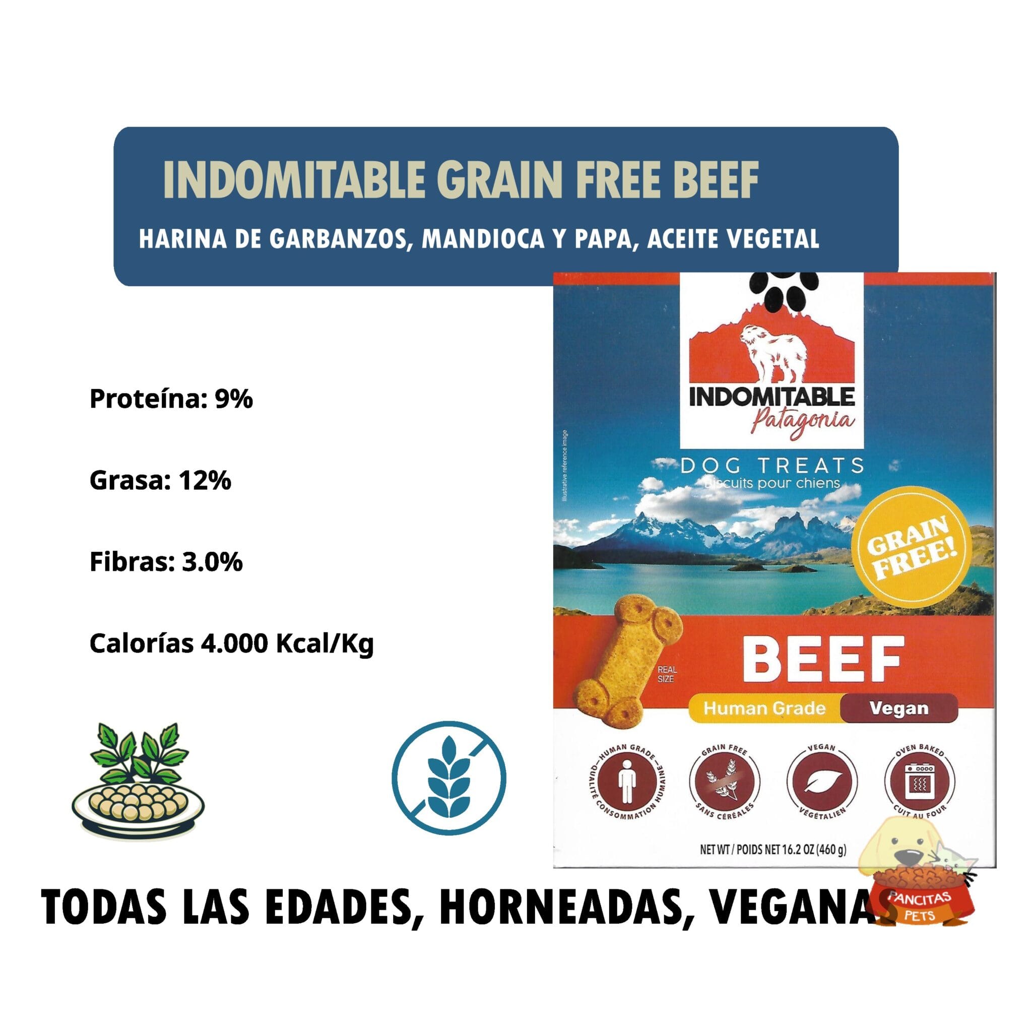 Indomitable Rx Indomitable Grain Free Vegan Beef 460g - PancitasPets