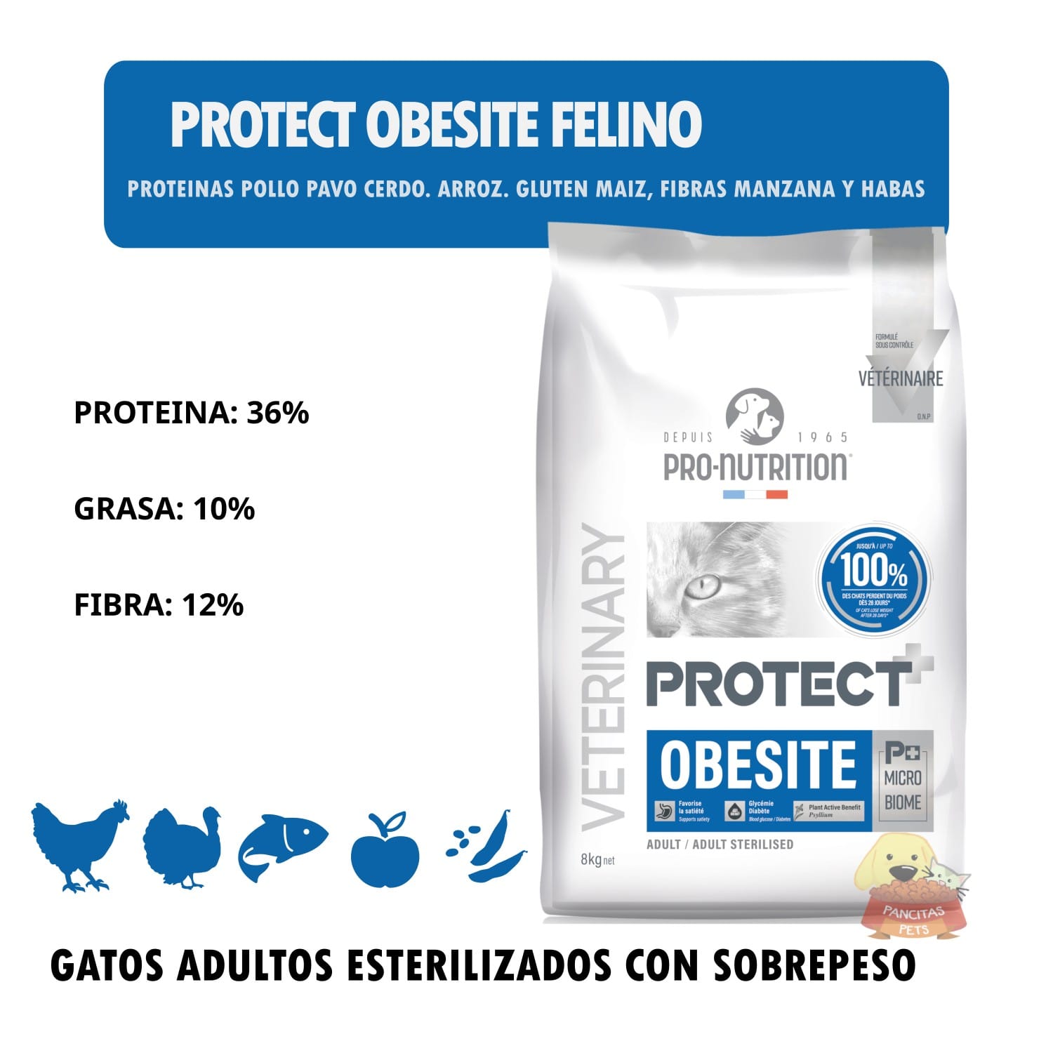 Protect Obesite Felino - Detalles
