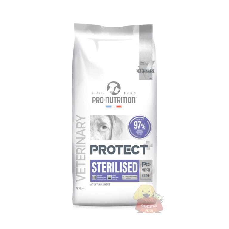 Protect Sterilised Pancitaspets