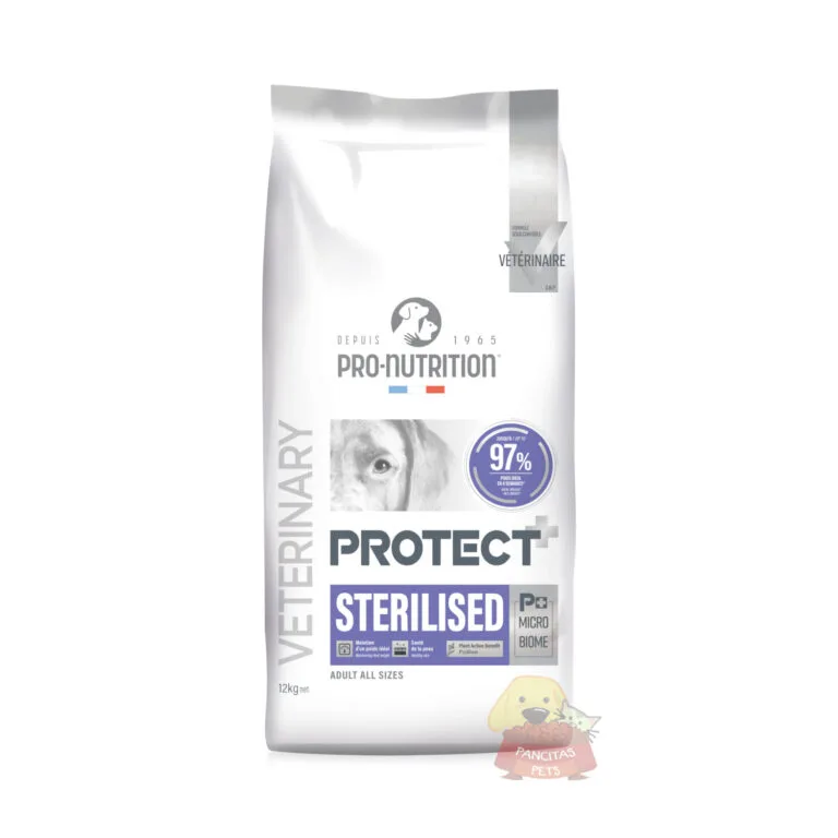 Protect Sterilised Pancitaspets