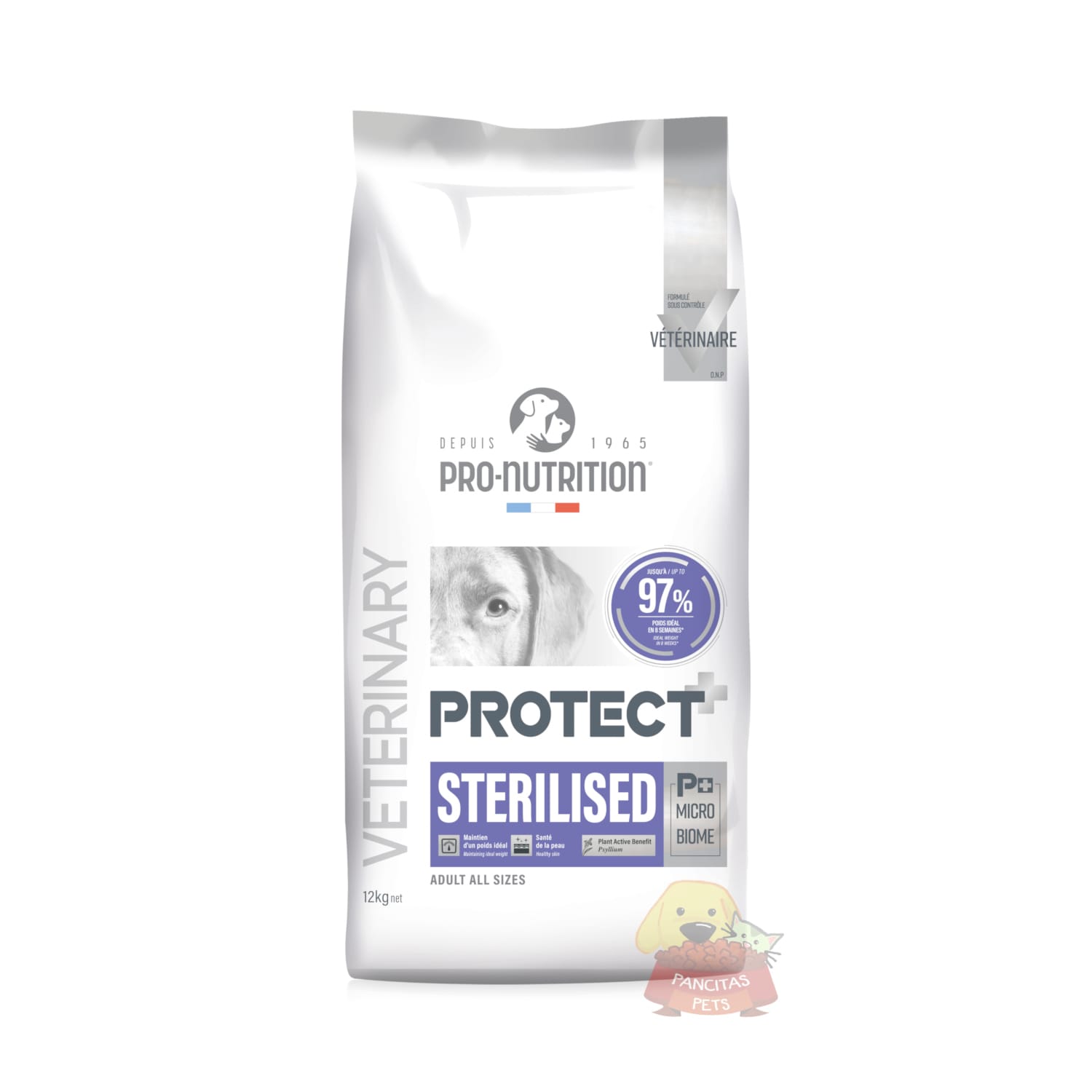 Protect Sterilised Pancitaspets