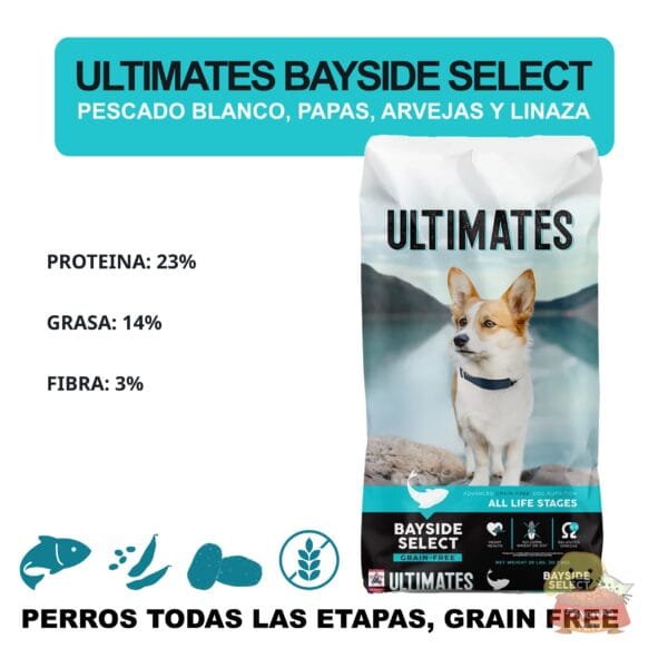 Ultimates Bayside - Detalles